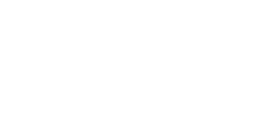 LUNAUT Software Studio